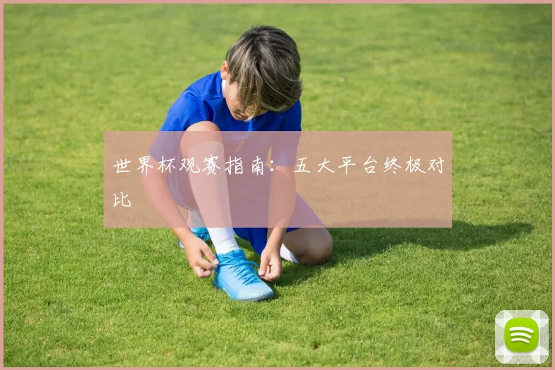 世界杯观赛指南：五大平台终极对比