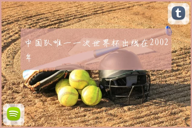 中国队唯一一次世界杯出线在2002年