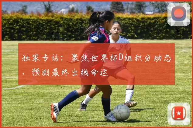独家专访：聚焦世界杯D组积分动态，预测最终出线命运