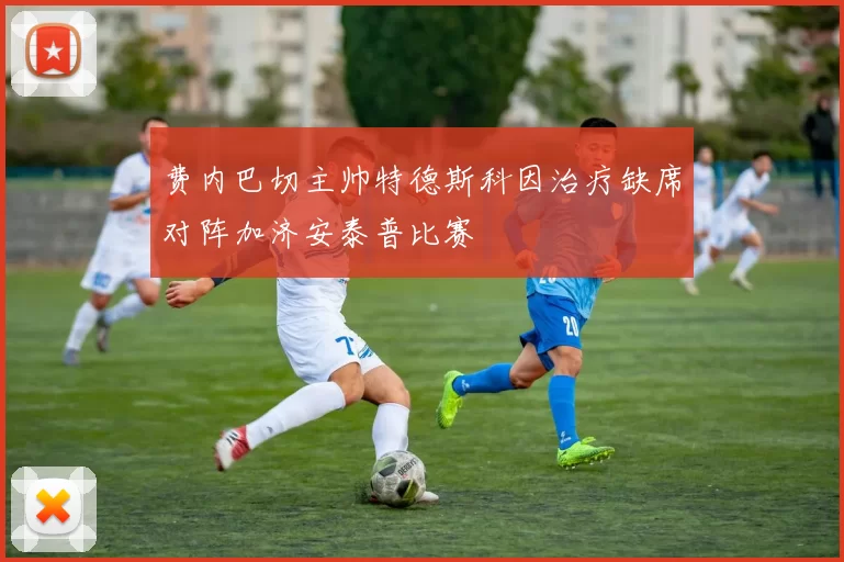 费内巴切主帅特德斯科因治疗缺席对阵加济安泰普比赛