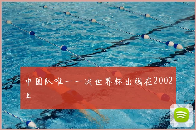 中国队唯一一次世界杯出线在2002年