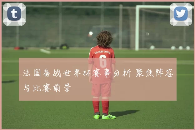 法国备战世界杯赛事分析 聚焦阵容与比赛前景