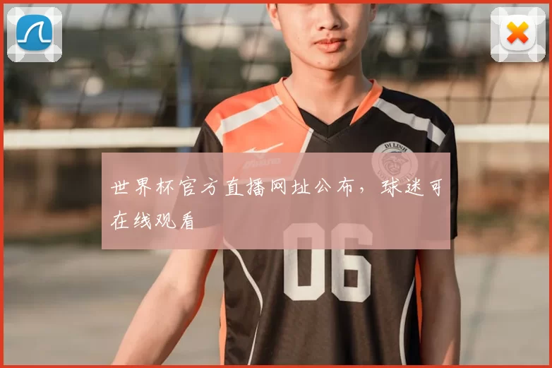 世界杯官方直播网址公布,球迷可在线观看