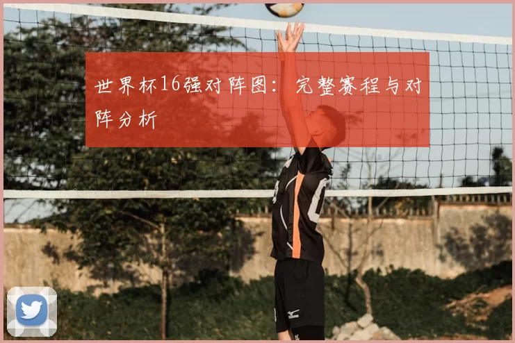 世界杯16强对阵图：完整赛程与对阵分析