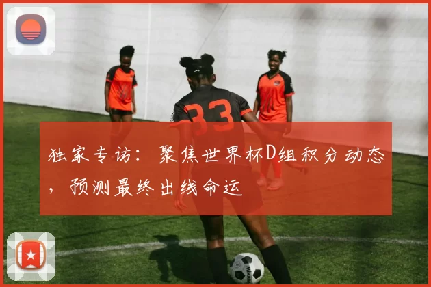 独家专访：聚焦世界杯D组积分动态，预测最终出线命运