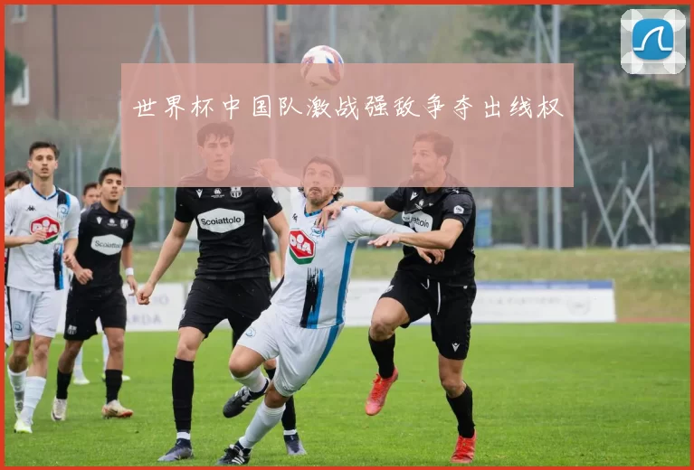世界杯中国队激战强敌争夺出线权