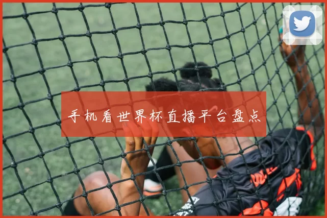 手机看世界杯直播平台盘点