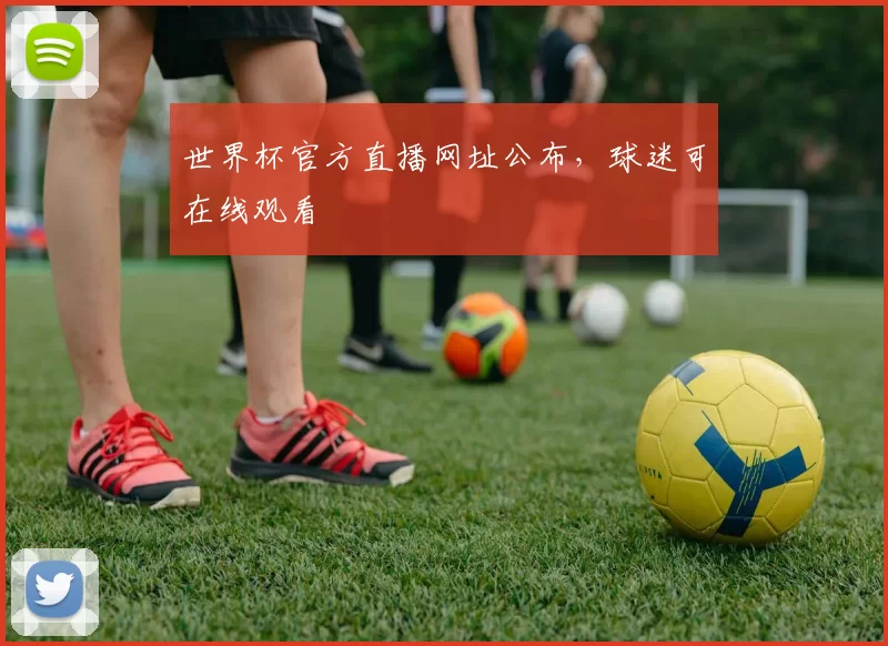 世界杯官方直播网址公布,球迷可在线观看